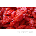 membekukan berry goji kering